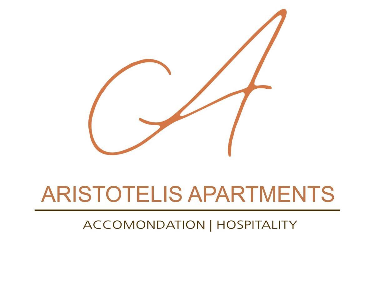Aristotelis Apartments Vathí 外观 照片